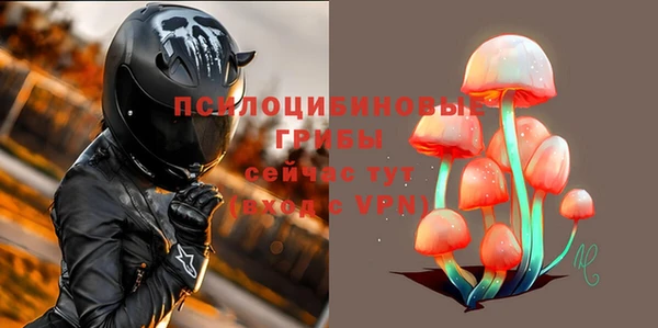 герыч Алексин