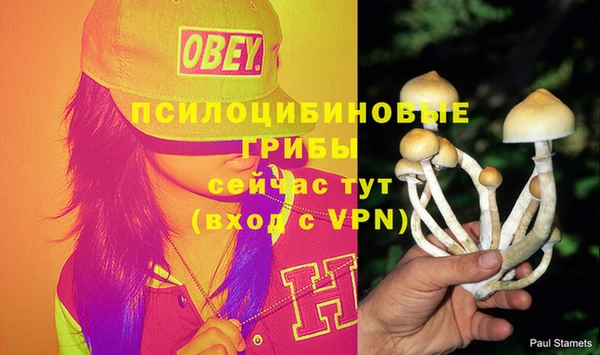 первитин Арсеньев