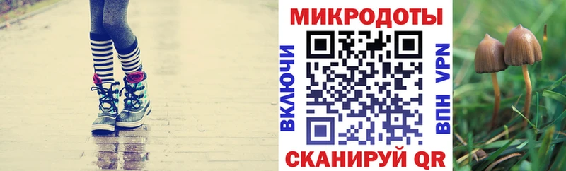 Псилоцибиновые грибы MAGIC MUSHROOMS  Фурманов 